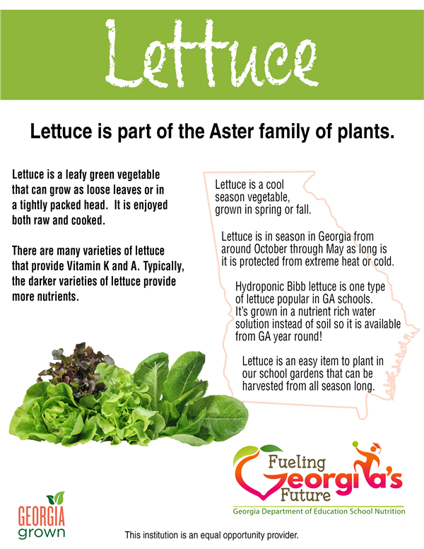 harvest of the month lettuce harvest of the month lettuce